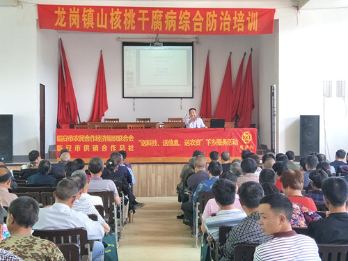 临安惠多利为山核桃生产贡献力量