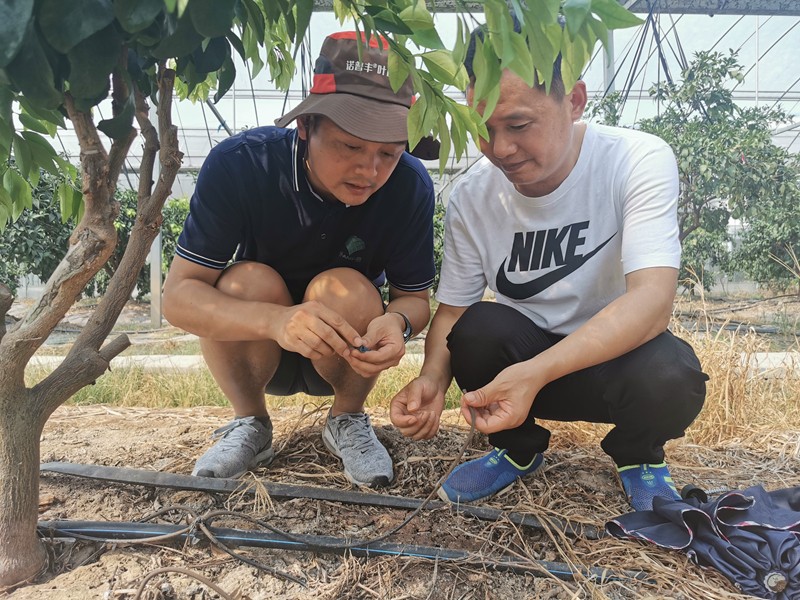 童旭宏：扎根田间的“化肥博士” 用专业造福农户