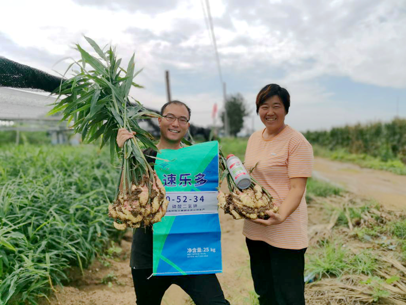 图片2_副本.png