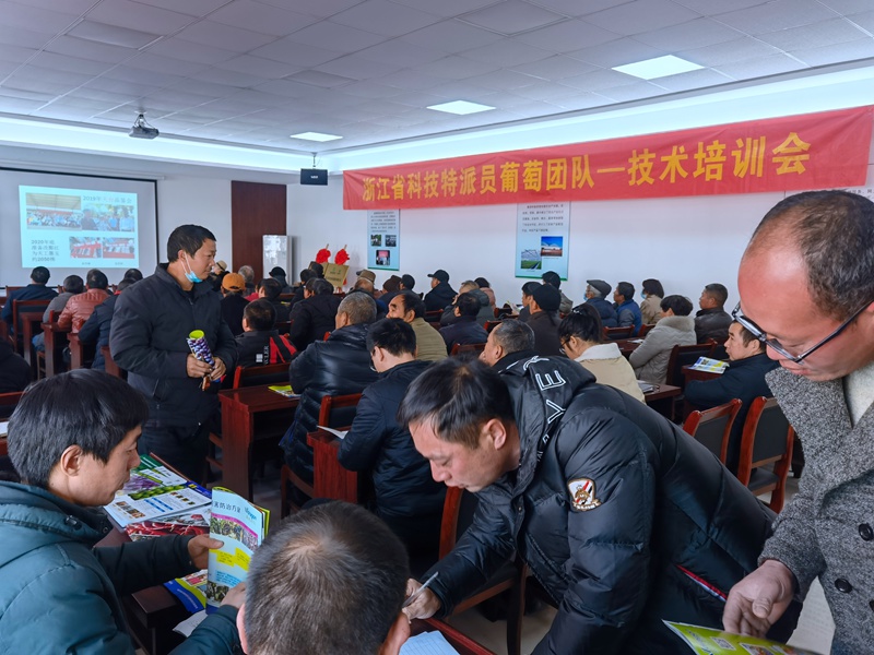 浦江浙农组织开展“天工墨玉”葡萄冬季修剪现场培训会