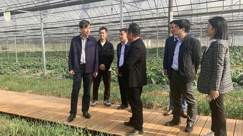 串起产业链 拓宽销售网 唱响共富经 浙农多渠道助力常山县产业提升农户增收