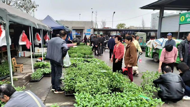 缓解“卖菜难” 建德农批市场自产自销临时摊位投入使用