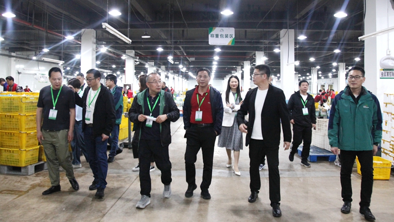 诸暨市校园食品安全共同体考察浙农茂阳