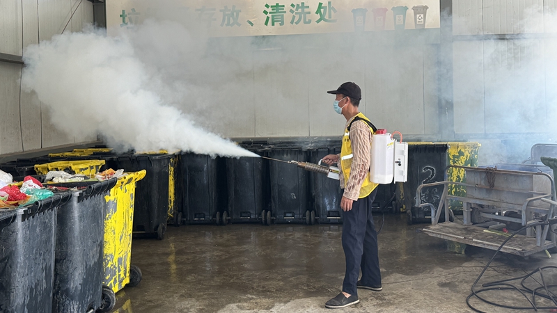 浦江农批市场开展夏季灭蚊整治行动