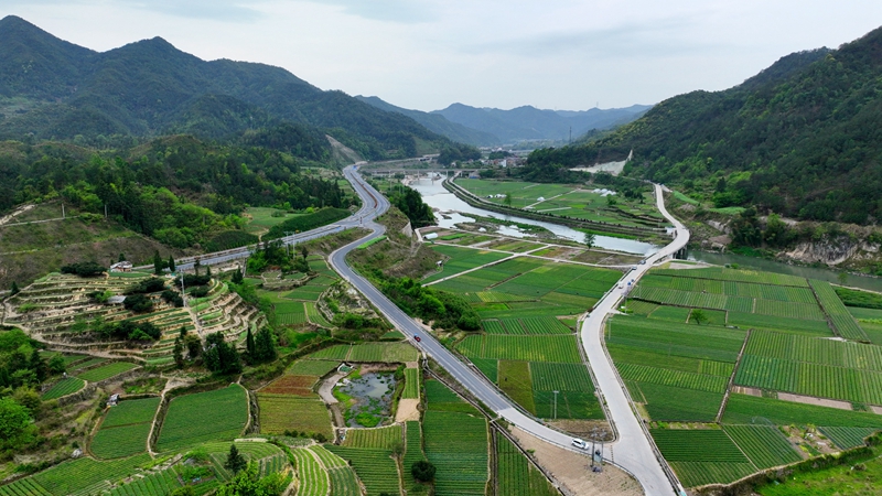 浙农浙贝母、杭白菊基地通过中药材GAP延伸检查