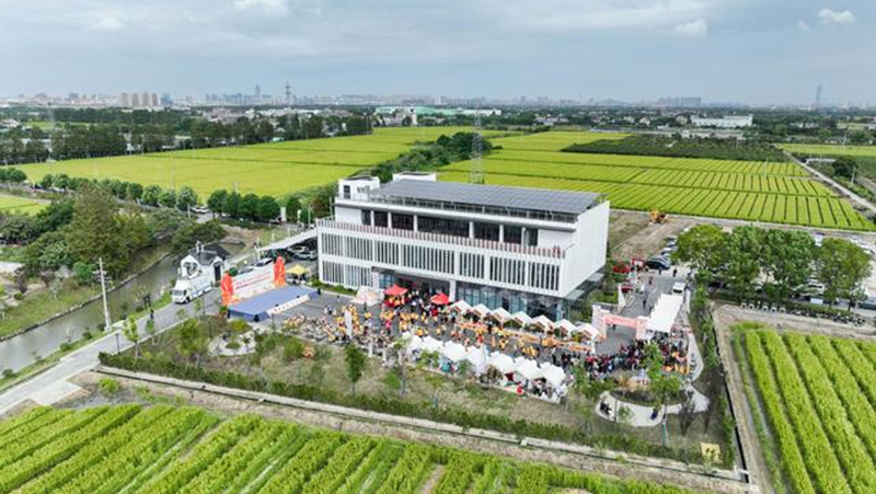 海宁马桥服务中心举行2024嘉兴—海宁·中国农民丰收节系列活动